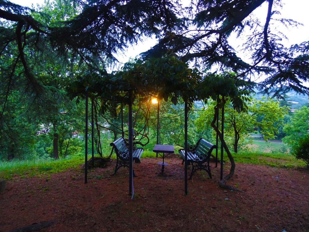 La Celestina Bed & Breakfast Piana Crixia Bagian luar foto